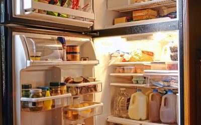 Simple Solutions for Common Issues With Fridge Repair in New Orleans, LA