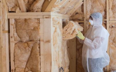 Local Restoration Company Bellevue WA: A Practical Guide for Choosing the Right Service