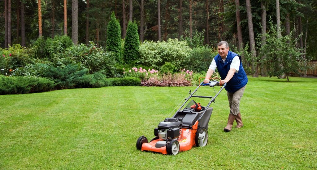 Must Have Landscaping Materials For A Healthy Garden