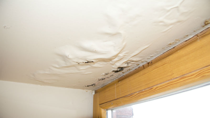 What to Expect from Water Damage Restoration in Kenneth City