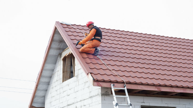 Why Installing a Green Roof is Smart for Your Chicago Business