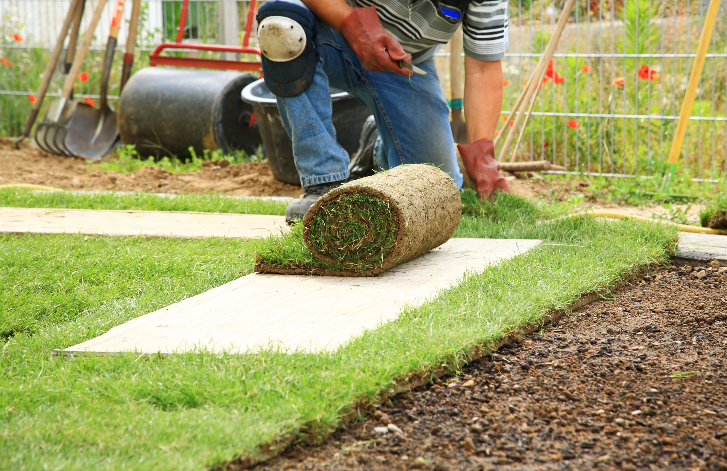 Questions to Ask a Commercial Landscaping Design Experts in Burlington, Ontario