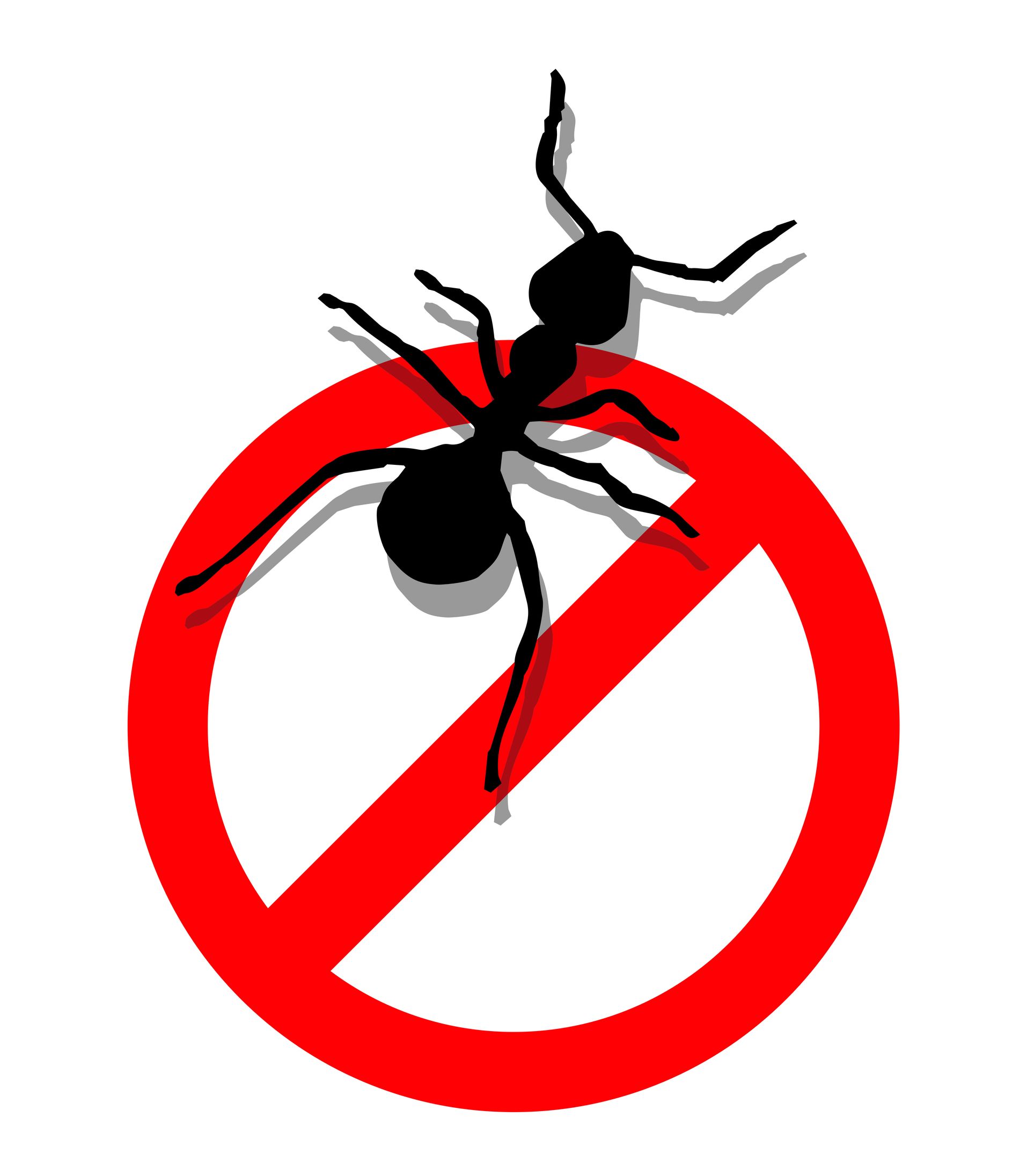 When a Pest Control Company in Rochester, MN, May Recommend Heat Treatment to Eliminate Pests