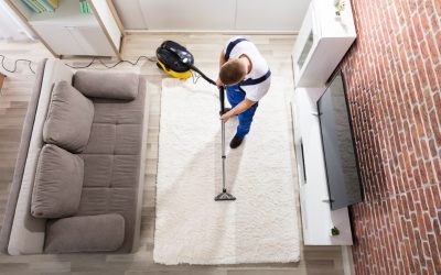 Why expert carpet cleaning in Rhode Island is essential for a healthier home