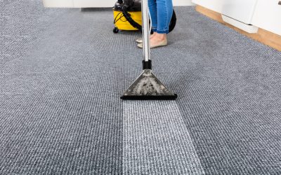 Enjoy Cleaner Living Spaces with Professional Carpet Cleaning Near Oregon, WI Services