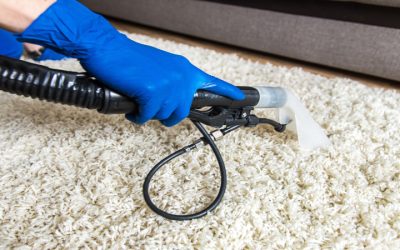 Refresh Your Home Environment Using a Carpet Cleaning Company Near McFarland, WI