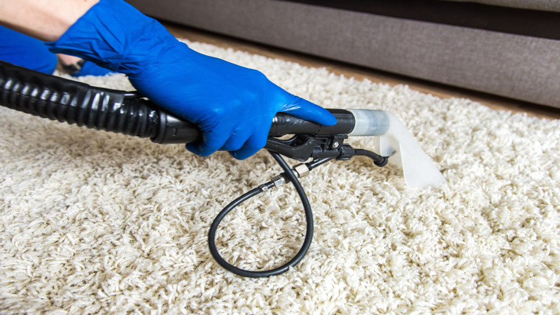 Refresh Your Home Environment Using a Carpet Cleaning Company Near McFarland, WI