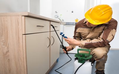 FamilySafe Methods Used By a Pest Exterminator Prosper, TX, To Keep Pests Away