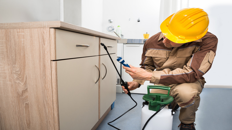 FamilySafe Methods Used By a Pest Exterminator Prosper, TX, To Keep Pests Away