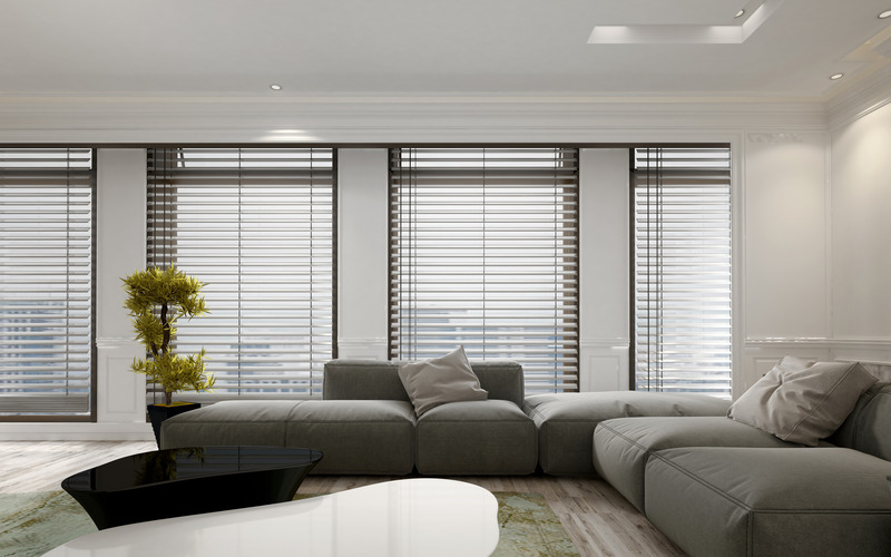 Transform Your Home Lighting With Blinds With Shades Chandler AZ for Privacy and Style