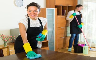 Make Home Maintenance Easier with Deep House Cleaning In Colorado Springs, CO: Professional Help