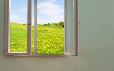 Homeowners Guide to Energy Savings With Window Installation in Denver, CO