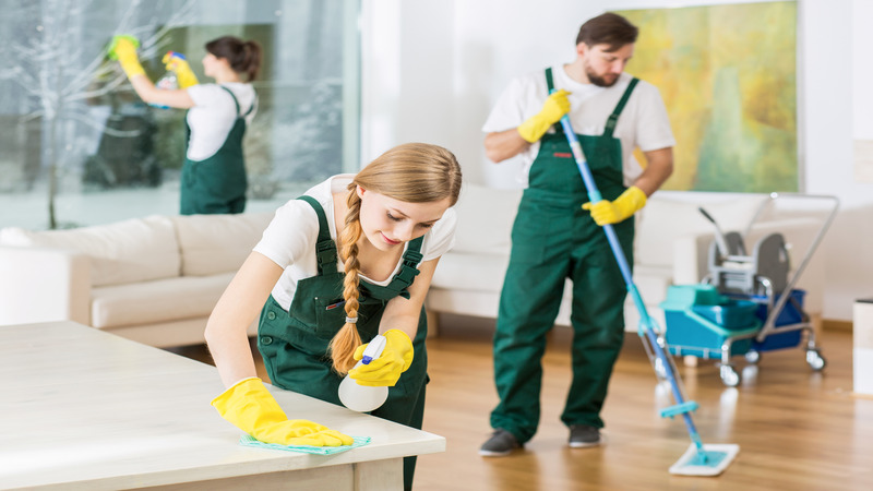 See the Difference That House Cleaners In North Royalton, OH Make in Home Freshness