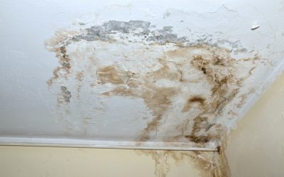 Prevent Water Damage At Home With Basement Leak Repair In Cincinnati, OH Solutions