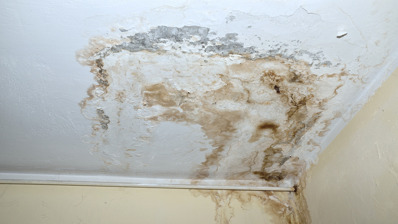 Prevent Water Damage At Home With Basement Leak Repair In Cincinnati, OH Solutions
